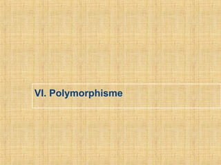 VI. Polymorphisme
 