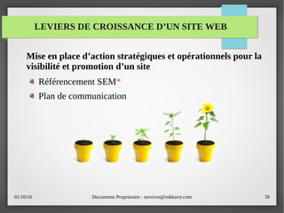 01/10/16 Documents Proprietaire : services@rokbarry.com 39
LEVIERS DE CROISSANCE D’UN SITE WEB
Mise en place d’action stratégiques et opérationnels pour la
visibilité et promotion d’un site
Référencement SEM*
Plan de communication
 