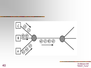 Dr.Mériem Afif
40   "INSAT_Tunis"
 