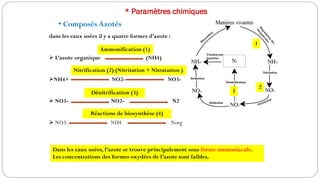 Nitratation cours Pollution Aquatique SA 6 2025-2026 | PDF