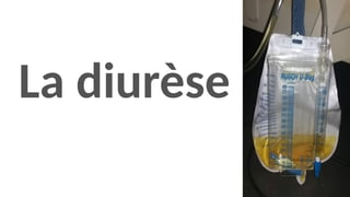 La diurèse
 
