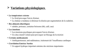  Variations physiologiques
• La température externe
• Le froid provoque l'envie d'uriner.
• La chaleur a tendance à diminuer la diurèse par augmentation de la sudation.
• Des aliments diurétiques
• salades, poireaux, certaines boissons (thé, café, eau)
• Les émotions
• Les émotions psychiques provoquent l'envie d'uriner.
• Un choc émotif violent peut provoquer un blocage de la miction
• Certains médicaments
• Antihypertenseur, anti-œdémateux, traitement de l’insuffisance cardiaque
• Corrélation Entrées/ Sorties
• Un apport hydrique important entraine des mictions importantes
 