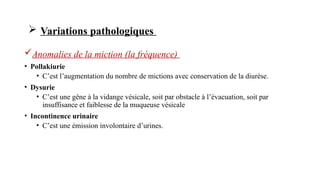 Anomalies de la miction (la fréquence)
• Pollakiurie
• C’est l’augmentation du nombre de mictions avec conservation de la diurèse.
• Dysurie
• C’est une gêne à la vidange vésicale, soit par obstacle à l’évacuation, soit par
insuffisance et faiblesse de la muqueuse vésicale
• Incontinence urinaire
• C’est une émission involontaire d’urines.
 Variations pathologiques
 