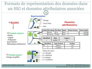 Formats de représentation des données dans
un SIG et données attributaires associées
 Réalité
 Format vecteur:
-Points
- Lignes
- Polygones
(03 Couches
thématiques distinctes)
 Format raster:
(image ou grille)
Représentation
Données
attributaires
Valeurs du raster
1 (= élevage)
6 (= Kalitous)
2 (=Gedyal)
7 (= Conifères)
Elevage
Cours d’eau
Bois
18
18
Année universitaire 2022/2023 Réalisé par: BRAHAMI Menaouer
Associate Professor, Systems Engineering Department
 