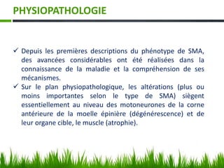 PHYSIOPATHOLOGIE
 Depuis les premières descriptions du phénotype de SMA,
des avancées considérables ont été réalisées dans la
connaissance de la maladie et la compréhension de ses
mécanismes.
 Sur le plan physiopathologique, les altérations (plus ou
moins importantes selon le type de SMA) siègent
essentiellement au niveau des motoneurones de la corne
antérieure de la moelle épinière (dégénérescence) et de
leur organe cible, le muscle (atrophie).
 