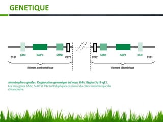 GENETIQUE
 