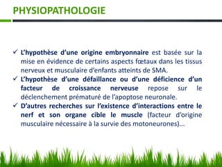 PHYSIOPATHOLOGIE
 L’hypothèse d’une origine embryonnaire est basée sur la
mise en évidence de certains aspects fœtaux dans les tissus
nerveux et musculaire d’enfants atteints de SMA.
 L’hypothèse d’une défaillance ou d’une déficience d’un
facteur de croissance nerveuse repose sur le
déclenchement prématuré de l’apoptose neuronale.
 D’autres recherches sur l’existence d’interactions entre le
nerf et son organe cible le muscle (facteur d’origine
musculaire nécessaire à la survie des motoneurones)...
 