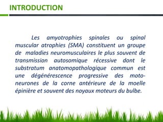INTRODUCTION
Les amyotrophies spinales ou spinal
muscular atrophies (SMA) constituent un groupe
de maladies neuromusculaires le plus souvent de
transmission autosomique récessive dont le
substratum anatomopathologique commun est
une dégénérescence progressive des moto-
neurones de la corne antérieure de la moelle
épinière et souvent des noyaux moteurs du bulbe.
 