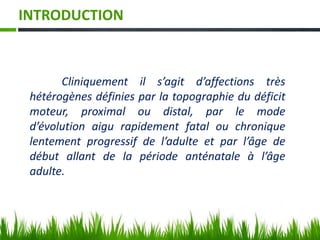 INTRODUCTION
Cliniquement il s’agit d’affections très
hétérogènes définies par la topographie du déficit
moteur, proximal ou distal, par le mode
d’évolution aigu rapidement fatal ou chronique
lentement progressif de l’adulte et par l’âge de
début allant de la période anténatale à l’âge
adulte.
 