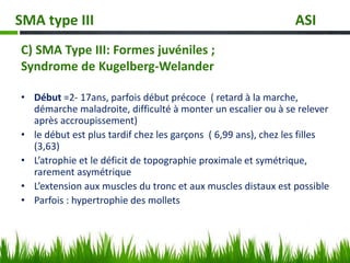 C) SMA Type III: Formes juvéniles ;
Syndrome de Kugelberg-Welander
• Début =2- 17ans, parfois début précoce ( retard à la marche,
démarche maladroite, difficulté à monter un escalier ou à se relever
après accroupissement)
• le début est plus tardif chez les garçons ( 6,99 ans), chez les filles
(3,63)
• L’atrophie et le déficit de topographie proximale et symétrique,
rarement asymétrique
• L’extension aux muscles du tronc et aux muscles distaux est possible
• Parfois : hypertrophie des mollets
SMA type III ASI
 