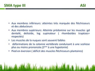• Aux membres inférieurs: atteintes très marquée des fléchisseurs
et des abducteurs
• Aux membres supérieurs: Atteinte prédomine sur les muscles :gd
dentelé, deltoïde, log supinateur ( rhomboïdes trapèzes=
respectés)
• Les muscles de la nuques sont souvent faibles
• déformations de la colonne vertébrale conduisant à une scoliose
plus ou moins prononcée.(2aire à une hypotonie)
• Pied en éversion ( déficit des muscles fléchisseurs plantaires)
SMA type III ASI
 