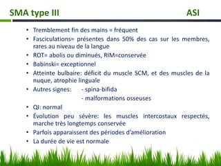 • Tremblement fin des mains = fréquent
• Fasciculations= présentes dans 50% des cas sur les membres,
rares au niveau de la langue
• ROT= abolis ou diminués, RIM=conservée
• Babinski= exceptionnel
• Atteinte bulbaire: déficit du muscle SCM, et des muscles de la
nuque, atrophie linguale
• Autres signes: - spina-bifida
- malformations osseuses
• QI: normal
• Évolution peu sévère: les muscles intercostaux respectés,
marche très longtemps conservée
• Parfois apparaissent des périodes d’amélioration
• La durée de vie est normale
SMA type III ASI
 
