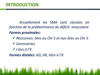 INTRODUCTION
Actuellement les SMA sont classées en
fonction de la prédominance du déficit musculaire
Formes proximales:
 Récessives: liées au Chr 5 et non liées au Chr 5
 Dominantes
 Liées à l’X
Formes distales: AD, AR, liées à l’X
 
