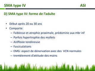 D) SMA type IV: forme de l’adulte
• Début après 20 ou 30 ans
• Comporte:
– Faiblesse et atrophie proximale, prédomine aux mbr inf
– Parfois hypertrophie des mollets
– Aréflexie tendineuse
– Fasciculations
– EMG: aspect de dénervation avec des VCN normales
– tremblement d’attitude des mains
SMA type IV ASI
 