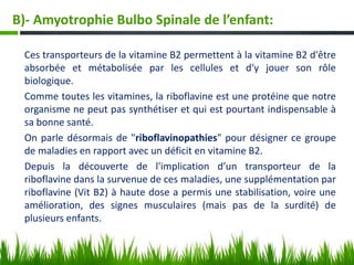 Ces transporteurs de la vitamine B2 permettent à la vitamine B2 d'être
absorbée et métabolisée par les cellules et d'y jouer son rôle
biologique.
Comme toutes les vitamines, la riboflavine est une protéine que notre
organisme ne peut pas synthétiser et qui est pourtant indispensable à
sa bonne santé.
On parle désormais de "riboflavinopathies" pour désigner ce groupe
de maladies en rapport avec un déficit en vitamine B2.
Depuis la découverte de l'implication d’un transporteur de la
riboflavine dans la survenue de ces maladies, une supplémentation par
riboflavine (Vit B2) à haute dose a permis une stabilisation, voire une
amélioration, des signes musculaires (mais pas de la surdité) de
plusieurs enfants.
B)- Amyotrophie Bulbo Spinale de l’enfant:
 