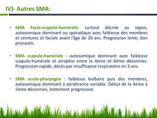 • SMA Facio-scapulo-humérale: surtout décrite au Japon,
autosomique dominant ou sporadique avec faiblesse des membres
et ceintures et faciale avant l’âge de 20 ans. Progression lente, bon
pronostic.
• SMA scapulo-humérale : autosomique dominant avec faiblesse
scapulo-humérale et atrophie entre la 4ème et 6ème décennies.
Progression rapide, décès par insuffisance respiratoire en 3 ans.
• SMA oculo-pharyngée : faiblesse bulbaire puis des membres,
autosomique dominant à pénétrance variable. Début de la 4ème à
5ème décennies, lentement progressive.
IV)- Autres SMA:
 