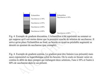 Fig. 4. Exemple de gradient discontinu. L'échantillon a été représenté au sommet ce
qui suppose qu'il soit moins dense que la première couche de solution de saccharose. Il
arrive qu'on place l'échantillon au fond, au besoin en ayant au préalable augmenté sa
densité en ajoutant du saccharose (par exemple).
Fig. 4. Exemple de gradient continu. Le gradient peut être linéaire (cas présenté) mais
aussi exponentiel ou logarithmique selon les besoins. On le coule en faisant varier en
continu le débit de deux pompes qui mélangent deux solutions, l'une à 10% et l'autre à
60% de saccharose dans le cas présent.
 