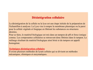 Désintégration cellulaire
La désintégration de la cellule ou la lyse est une étape initiale de la préparation de
l'échantillon à analyser. La Lyse vise à rompre la membrane plasmique ou la paroi
pour la cellule végétale et fongique en libérant les substances ou structures
désirées.
Pour se faire, le matériel biologique est mis dans un tampon de pH et force ionique
connus. Les composantes cellulaires se retrouvent donc libérées dans le tampon. Le
mélange résultant du matériel biologique ainsi brisé et du tampon est appelé
homogénat.
Techniques désintégration cellulaire
Il existe plusieurs méthodes de lysats cellules qui se divisent en méthodes
mécaniques, chimiques et enzymatiques.
 