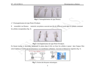 Melle
. AOUACHRIA S. Désintégration cellulaire
Fig.1. L’homogénéisateur de type Dounce.
✓ L’homogénéisateur de type Potter‐Elvehjem
Il ressemble à un Dounce motorisé; son piston a souvent une tête de téflon et tourne dans le cylindre contenant
les cellules resuspendues (fig. 2).
Fig.2. L’homogénéisateur de type Potter‐Elvehjem.
En faisant tourner et descendre rapidement le piston dans le bol, on force les cellules à passer dans l'espace libre
entre le piston et la paroi du bol (clearance). Les membranes cellulaires s'ouvrent et libèrent les organites (fig. 3).
Fig. 3. Action des broyeurs mécaniques.
2
 