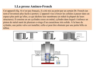 1.La presse Aminco-French
Cet appareil (fig. 4) n’est pas français, il a été mis au point par un certain Dr. French (un
nom d’inventeur plus facile à porter). L’appareil vise à forcer les cellules à passer dans un
espace plus petit qu’elles, ce qui déchire leur membrane (et réduit la plupart de leurs
structures). Il consiste en un cyclindre creux en métal, cylindre dans lequel s’enfonce un
piston de métal nanti de plusieurs o-rings d’un caoutchouc très solide. À la base du
cylindre, une petite valve est installée; celle-ci peut être obstruée par une petite bille en
téflon.
 