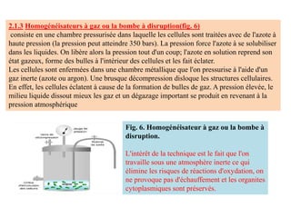 2.1.3 Homogénéisateurs à gaz ou la bombe à disruption(fig. 6)
consiste en une chambre pressurisée dans laquelle les cellules sont traitées avec de l'azote à
haute pression (la pression peut atteindre 350 bars). La pression force l'azote à se solubiliser
dans les liquides. On libère alors la pression tout d'un coup; l'azote en solution reprend son
état gazeux, forme des bulles à l'intérieur des cellules et les fait éclater.
Les cellules sont enfermées dans une chambre métallique que l'on pressurise à l'aide d'un
gaz inerte (azote ou argon). Une brusque décompression disloque les structures cellulaires.
En effet, les cellules éclatent à cause de la formation de bulles de gaz. A pression élevée, le
milieu liquide dissout mieux les gaz et un dégazage important se produit en revenant à la
pression atmosphérique
Fig. 6. Homogénéisateur à gaz ou la bombe à
disruption.
L'intérêt de la technique est le fait que l'on
travaille sous une atmosphère inerte ce qui
élimine les risques de réactions d'oxydation, on
ne provoque pas d'échauffement et les organites
cytoplasmiques sont préservés.
 