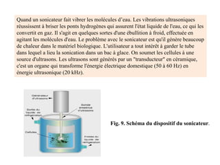 Quand un sonicateur fait vibrer les molécules d’eau. Les vibrations ultrasoniques
réussissent à briser les ponts hydrogènes qui assurent l'état liquide de l'eau, ce qui les
convertit en gaz. Il s'agit en quelques sortes d'une ébullition à froid, effectuée en
agitant les molécules d'eau. Le problème avec le sonicateur est qu'il génère beaucoup
de chaleur dans le matériel biologique. L'utilisateur a tout intérêt à garder le tube
dans lequel a lieu la sonication dans un bac à glace. On soumet les cellules à une
source d'ultrasons. Les ultrasons sont générés par un "transducteur" en céramique,
c'est un organe qui transforme l'énergie électrique domestique (50 à 60 Hz) en
énergie ultrasonique (20 kHz).
Fig. 9. Schéma du dispositif du sonicateur.
 