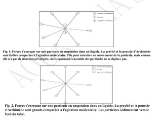 Fig. 1. Forces s’exerçant sur une particule en suspension dans un liquide. La gravité et la poussée d'Archimède
sont faibles comparées à l'agitation moléculaire. Elle peut entraîner un mouvement de la particule, mais comme
elle n'a pas de direction privilégiée, statistiquement l'ensemble des particules ne se déplace pas.
Fig. 2. Forces s’exerçant sur une particule en suspension dans un liquide. La gravité et la poussée
d'Archimède sont grands comparées à l'agitation moléculaire. Les particules sédimentent vers le
fond du tube.
 
