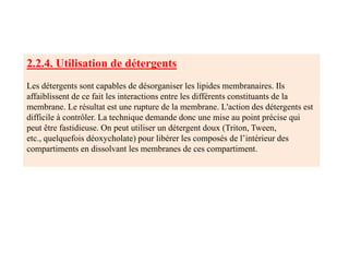 2.2.4. Utilisation de détergents
Les détergents sont capables de désorganiser les lipides membranaires. Ils
affaiblissent de ce fait les interactions entre les différents constituants de la
membrane. Le résultat est une rupture de la membrane. L'action des détergents est
difficile à contrôler. La technique demande donc une mise au point précise qui
peut être fastidieuse. On peut utiliser un détergent doux (Triton, Tween,
etc., quelquefois déoxycholate) pour libérer les composés de l’intérieur des
compartiments en dissolvant les membranes de ces compartiment.
 