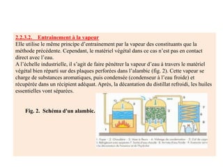 2.2.3.2. Entrainement à la vapeur
Elle utilise le même principe d’entrainement par la vapeur des constituants que la
méthode précédente. Cependant, le matériel végétal dans ce cas n’est pas en contact
direct avec l’eau.
A l’échelle industrielle, il s’agit de faire pénétrer la vapeur d’eau à travers le matériel
végétal bien réparti sur des plaques perforées dans l’alambic (fig. 2). Cette vapeur se
charge de substances aromatiques, puis condensée (condenseur à l’eau froide) et
récupérée dans un récipient adéquat. Après, la décantation du distillat refroidi, les huiles
essentielles vont séparées.
Fig. 2. Schéma d'un alambic.
 