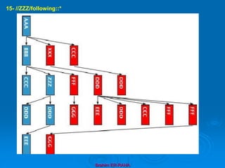 Brahim ER-RAHA
15- //ZZZ/following::*
 