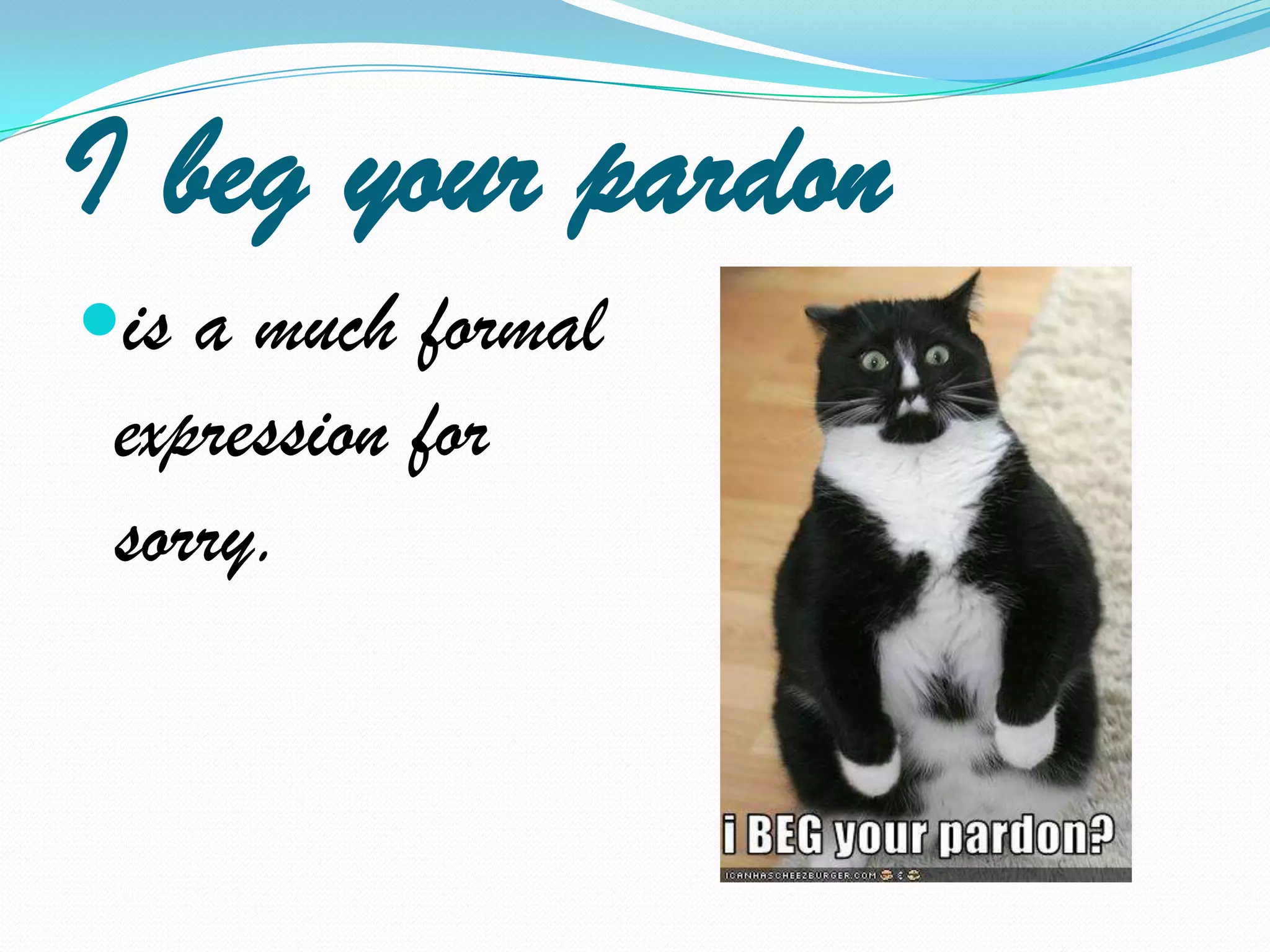 I beg your pardon is a much formal expression for sorry.