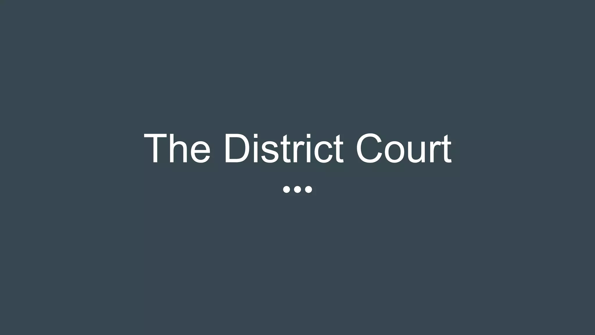 The District Court
 