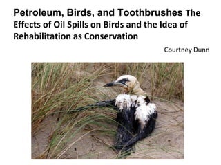 Petroleum, Birds, and Toothbrushes The
Effects of Oil Spills on Birds and the Idea of
Rehabilitation as Conservation
Courtney Dunn
 