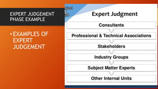 Expert Judgment Risk Technique CHAPTER 12 DESIGNING AND CONDUCTING SUMMATIVE EVALUATION | PPTX