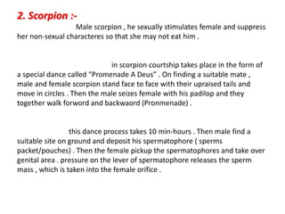 2. Scorpion :-
Male scorpion , he sexually stimulates female and suppress
her non-sexual characteres so that she may not eat him .
in scorpion courtship takes place in the form of
a special dance called “Promenade A Deus” . On finding a suitable mate ,
male and female scorpion stand face to face with their upraised tails and
move in circles . Then the male seizes female with his padilop and they
together walk forword and backwaord (Pronmenade) .
this dance process takes 10 min-hours . Then male find a
suitable site on ground and deposit his spermatophore ( sperms
packet/pouches) . Then the female pickup the spermatophores and take over
genital area . pressure on the lever of spermatophore releases the sperm
mass , which is taken into the female orifice .
 