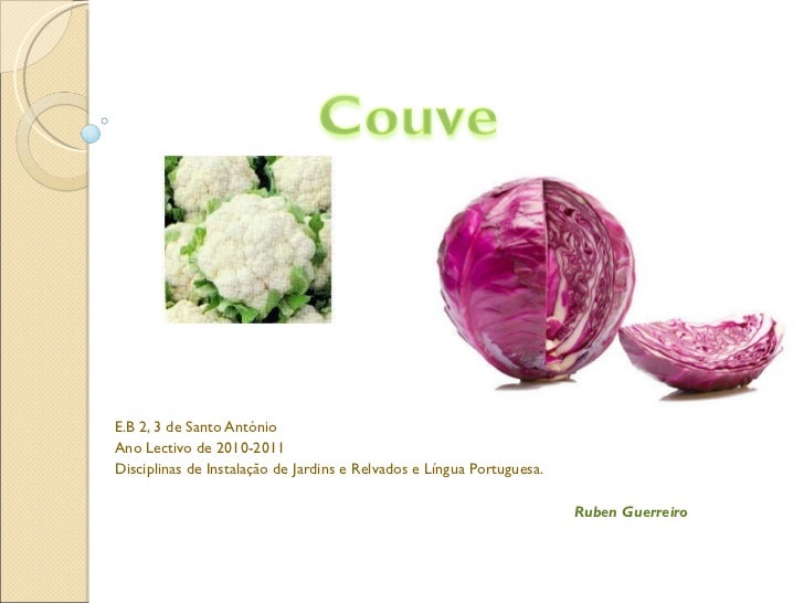 E.B 2, 3 de Santo António  Ano Lectivo de 2010-2011 Disciplinas de Instalação de Jardins e Relvados e Língua Portuguesa. R...