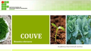 COUVE 
Brassica oleracea 
Acadêmica: Ana Cristina B. da Silva 
 