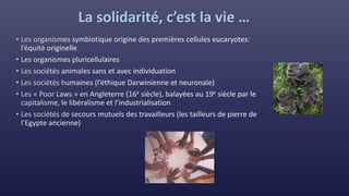 La solidarité, c’est la vie …
 