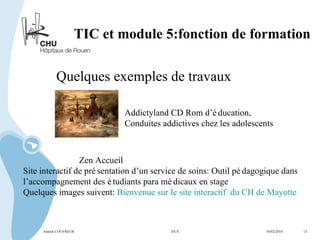 TIC et module 5:fonction de formation Quelques exemples de travaux Addictyland CD Rom d’éducation,  Conduites addictives chez les adolescents Zen Accueil  Site interactif de présentation d’un service de soins: Outil pédagogique dans l’accompagnement des étudiants para médicaux en stage Quelques images suivent:  Bienvenue sur le site interactif  du CH de Mayotte Annick COUVREUR IFCS   10/02/2010  13 