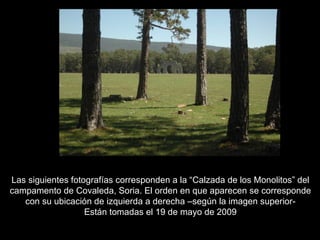 Las siguientes fotografías corresponden a la “Calzada de los Monolitos” del campamento de Covaleda, Soria. El orden en que aparecen se corresponde con su ubicación de izquierda a derecha –según la imagen superior- Están tomadas el 19 de mayo de 2009 