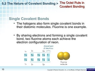 8.2 The Nature of Covalent Bonding > The Octet Rule in
Covalent Bonding

Single Covalent Bonds
• The halogens also form single covalent bonds in
their diatomic molecules. Fluorine is one example.
• By sharing electrons and forming a single covalent
bond, two fluorine atoms each achieve the
electron configuration of neon.

10

Copyright © Pearson Education, Inc., or its affiliates. All Rights Reserved.

 