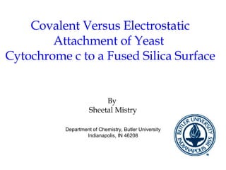 Covalent Versus Electrostatic Attachment of Yeast  Cytochrome c to a Fused Silica Surface By  Sheetal Mistry Department of Chemistry, Butler University Indianapolis, IN 46208 
