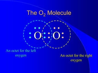 The O2 Molecule
O O
An octet for the left
oxygen An octet for the right
oxygen
 