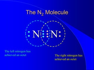 The N2 Molecule
N N
The left nitrogen has
achieved an octet The right nitrogen has
achieved an octet
 