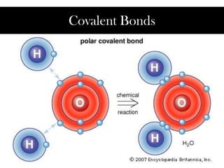Covalent Bonds
 