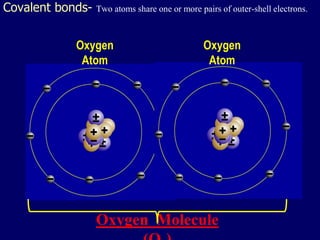 Covalent bonds- Two atoms share one or more pairs of outer-shell electrons. 
Oxygen 
Atom 
Oxygen 
Atom 
Oxygen Molecule 
(O) 
 