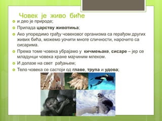 Човек је живо биће
 и део је природе;
 Припада царству животиња;
 Ако упоредимо грађу човековог организма са герађом других
живих бића, можемо уочити многе сличности, нарочито са
сисарима.
 Према томе човека убрајамо у кичмењаке, сисаре – јер се
младунци човека хране мајчиним млеком.
 И долазе на свет рађањем;
 Тело човека се састоји од главе, трупа и удова;
 