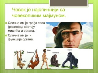 Човек је најсличнији са
човеколиким мајмуном.
 Слична им је грађа тела
(распоред костију,
мишића и органа.
 Слична им је и
функција органа.
 