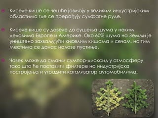 ⦿ Киселе кише се чешће јављају у великим индустријским
областима где се прерађују сулфатне руде.
⦿ Киселе кише су довеле до сушења шума у неким
деловима Европе и Америке. Око 60% шума на Земљи је
уништено захваљујући киселим кишама и сечом, на тим
местима се данас налазе пустиње.
⦿ Човек може да смањи сумпор-диоксид у атмосферу
тако што ће поставити филтере на индустријска
постројења и уградити катализатор аутомобилима.
 