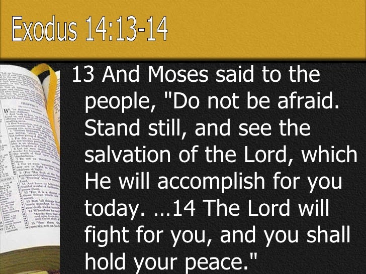 fear not stand still and see the salvation of the lord